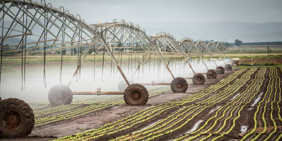 pivô de irrigação em operação agrícola