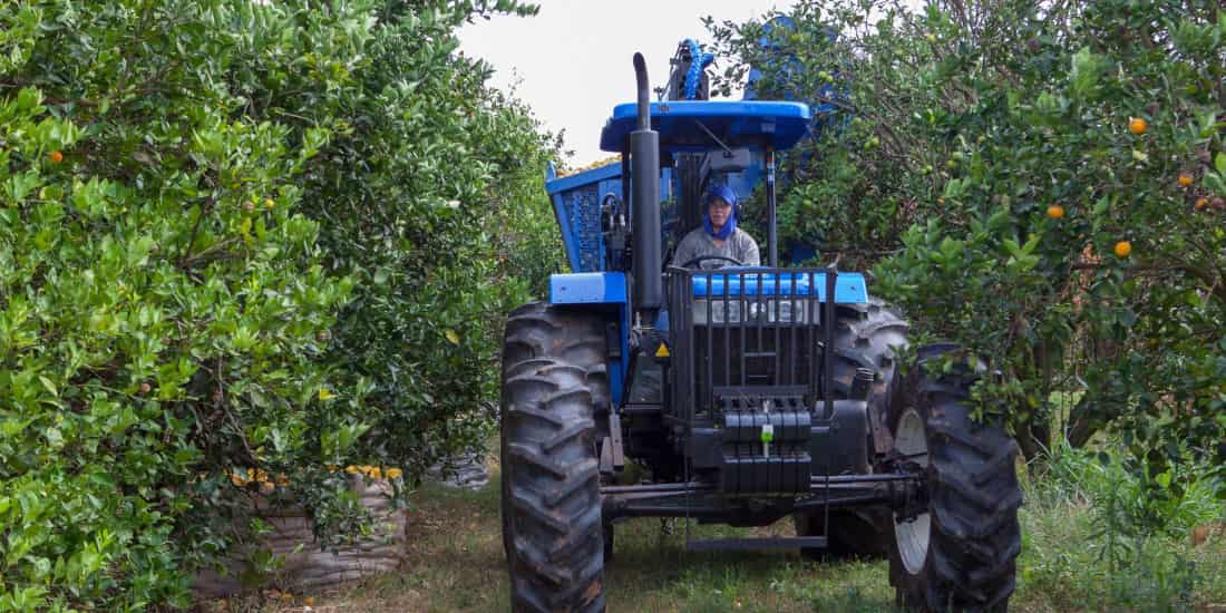 Trator de rodas new holland Armac em propriedade rural de laranja
